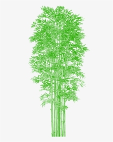 Bamboo Tree Clipart Clip Art Royalty Free Bamboo Tree - Vector Png Bamboo Tree Psd Plan, Transparent Png, Transparent PNG
