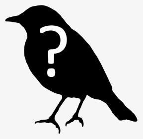 Bird Question, HD Png Download, Transparent PNG