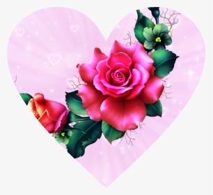 #heart #pink #flower #freetoedit - Hybrid Tea Rose, HD Png Download, Transparent PNG