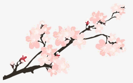 #sakura #japan #sticker #remixit - Japanese Cherry Blossom Transparent, HD Png Download, Transparent PNG