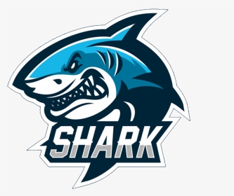 Team Shark, HD Png Download, Transparent PNG