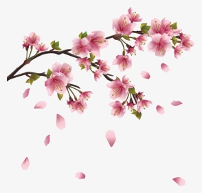 Fleurs Png - Sakura Flower Drawing, Transparent Png, Transparent PNG