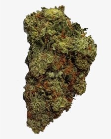 White Widow Premium, HD Png Download, Transparent PNG