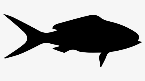 Fish Shape Of Queen Snapper - Shape Of A Fish, HD Png Download, Transparent PNG