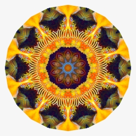 Art,sunflower,symmetry - Circle, HD Png Download, Transparent PNG