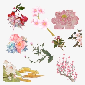 Garden Roses , Png Download - Prickly Rose, Transparent Png, Transparent PNG