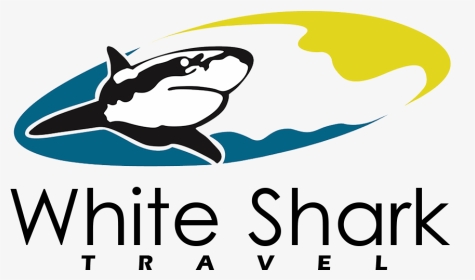 White Shark Travel - White Shark, HD Png Download, Transparent PNG
