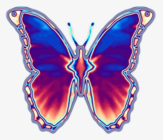 #holo #holographic #iridescent #empress Iridescence - Brush-footed Butterfly, HD Png Download, Transparent PNG