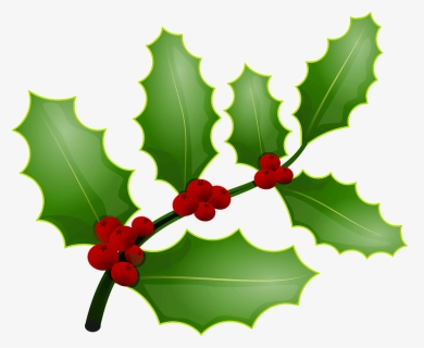 Mistletoe And Holly The Same Thing, HD Png Download, Transparent PNG