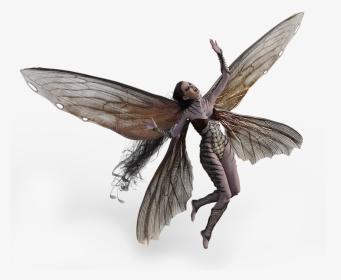 Transparent Fairy Wings Png - Fantasy Fairy Wings, Png Download, Transparent PNG