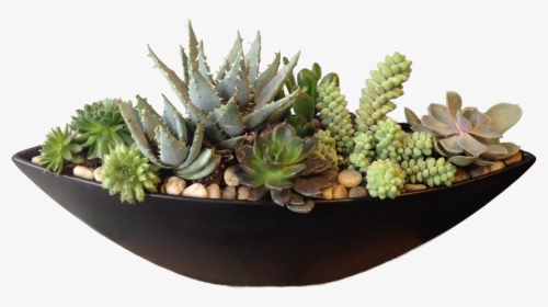 Flowerpot, HD Png Download, Transparent PNG