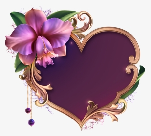 Romantic Orchids, HD Png Download, Transparent PNG