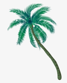 #coqueiro #arvore #planta #verde #madeira #coco #praia - Coconut Tree Png Inages, Transparent Png, Transparent PNG