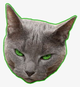 #ftestickers #greeneyes #green #angry - Domestic Short-haired Cat, HD Png Download, Transparent PNG