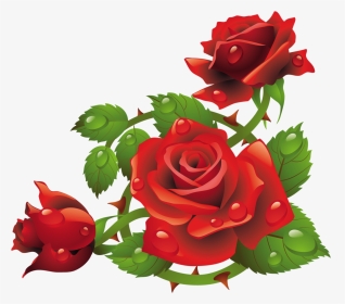 Red Rose Flower Frame Roses Frame Png, Transparent Png, Transparent PNG