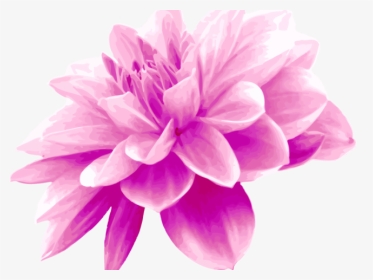 Dahlia Clipart Light Purple Flower - Light Blue Flower Png, Transparent Png, Transparent PNG