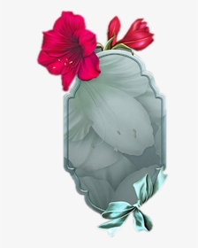 Transparent Png Moonbeam Floral, Png Download, Transparent PNG