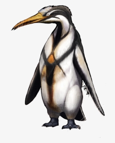 Pinguin Ark, HD Png Download, Transparent PNG