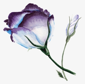 Purplish Blue Flower Watercolor Transparent Flower - Png Background Flower Watercolor Blue, Png Download, Transparent PNG