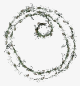 Circle, HD Png Download, Transparent PNG