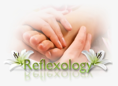Massage Therapy, HD Png Download, Transparent PNG
