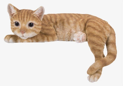 Cat Lying On Shelf, HD Png Download, Transparent PNG