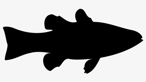 Cardinalfish - Fish Silhouette Clipart, HD Png Download, Transparent PNG