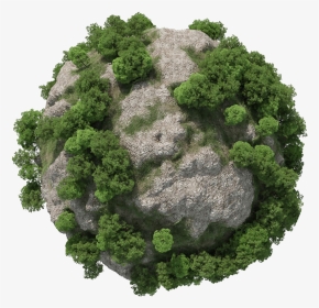 Forester - Tree Plugin For Cinema 4d, HD Png Download, Transparent PNG