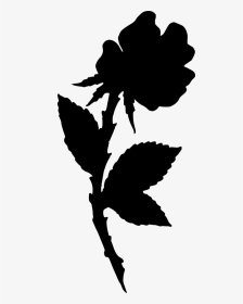 Rose-silhouette - Illustration, HD Png Download, Transparent PNG