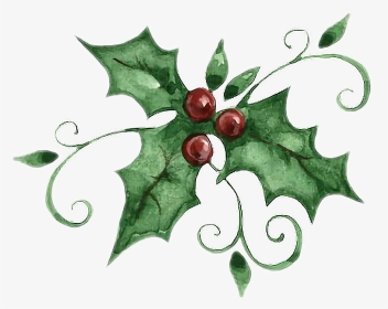 Holly Graphic, HD Png Download, Transparent PNG