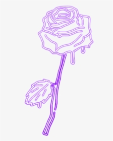 #purple #lilac #kawaii #tumblr #rose #dripping #pasrel - Neon Purple Rose Tumblr Draw Png, Transparent Png, Transparent PNG