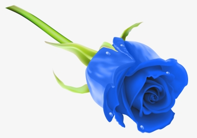 Blue Rose Png Clip Art Image - Rose Png Full Hd, Transparent Png, Transparent PNG