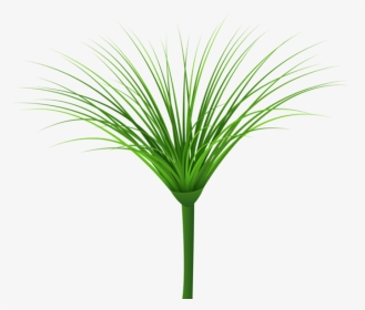 Download Tropical Green Leaf Clipart Png Photo - Sweet Grass, Transparent Png, Transparent PNG