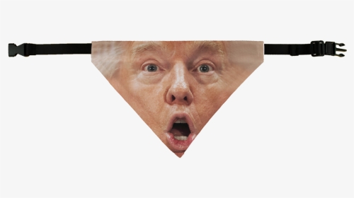 Shocked Trump Pet Bandana - Human, HD Png Download, Transparent PNG