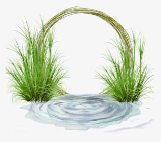 75783143 - Sweet Grass, HD Png Download, Transparent PNG