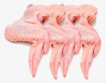 Chicken Wings Meat Png, Transparent Png, Transparent PNG
