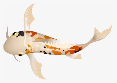 Fish Png, Transparent Png, Transparent PNG