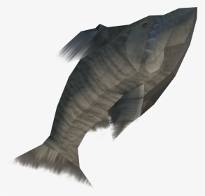 The Runescape Wiki - Eagle, HD Png Download, Transparent PNG
