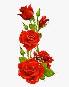 Papel De Carta Em Rosas Vermelhas, HD Png Download, Transparent PNG