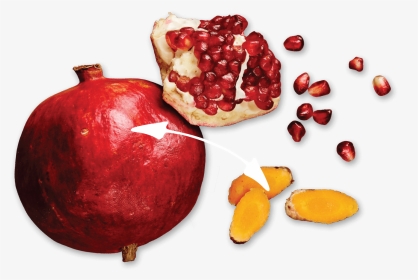 Pomegranate Turmeric Immunity Boost - Pomegranate, HD Png Download, Transparent PNG