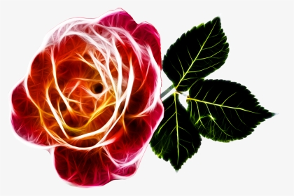 Rose Fiery Love Free Photo - Transparent Abstract Rose Png, Png Download, Transparent PNG