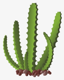 Cactus Pintado, HD Png Download, Transparent PNG