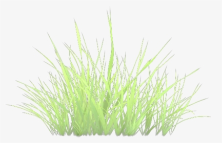 #grass, HD Png Download, Transparent PNG