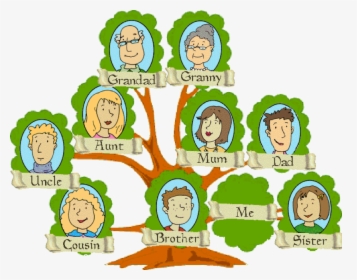 Family Tree Clipart, HD Png Download, Transparent PNG