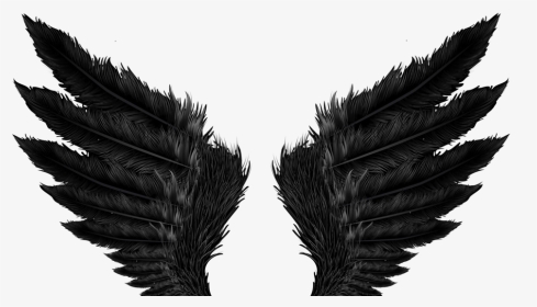Image - Angel Wings Black Png, Transparent Png, Transparent PNG