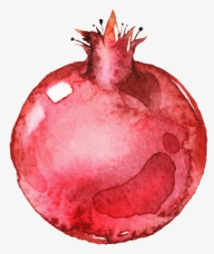切开的半球形蔬菜洋葱 - Pomegranate, HD Png Download, Transparent PNG