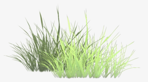 Grass Texture Transparent, HD Png Download, Transparent PNG