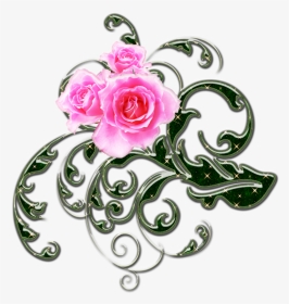 Rose, HD Png Download, Transparent PNG