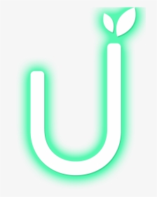Pushwood - Neon, HD Png Download, Transparent PNG