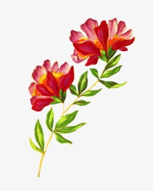Digital Scrapbooking Flowers, Beautiful Delicate Flower - Beautiful Flowers Picture Png, Transparent Png, Transparent PNG